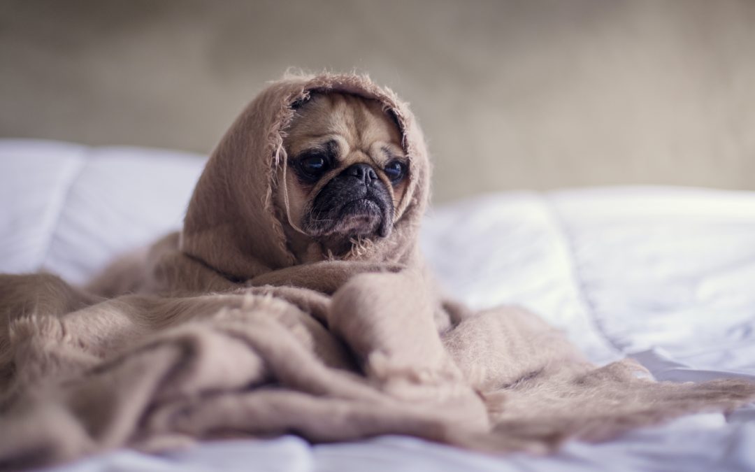 8 Tips for Avoiding Burnout as an Independent Hairdresser
