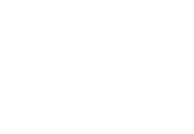 Evy Professional Logo